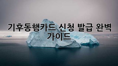 기후동행카드 신청, 발급 완벽 가이드
