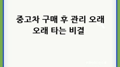 청주 흥덕구 중고차 🚗 가격 비교 & 꿀팁 대방출! 🍯
